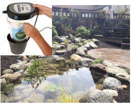 Water clarity solutions & beneficial bacteria for water features in Rochester New York (NY) - Acorn 