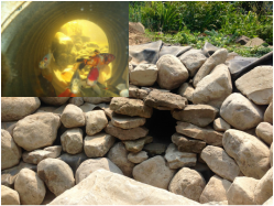 “Built in” fish caves offer your koi pond fish protection from animal/bird predators