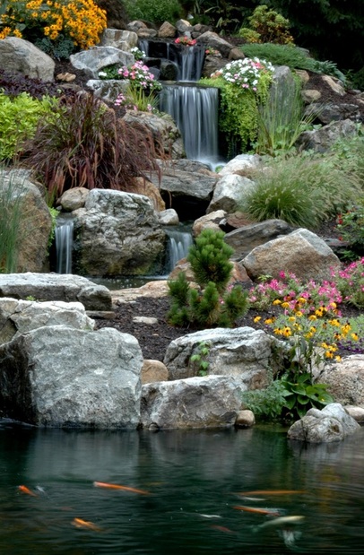 Fish (Koi) Pond Maintenance In Chili & Webster, Monroe County NY By Acorn Ponds & Waterfalls