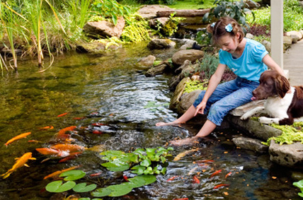 Low Maintenance Water Features & Child Safe Features For The Family In Rochester, NY By Acorn Ponds & Waterfalls. Image