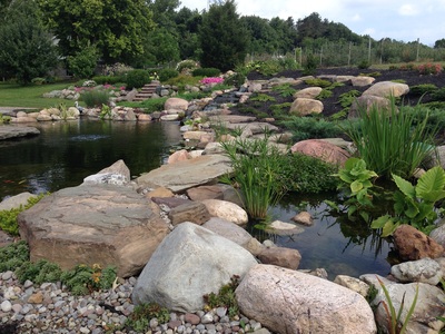 Pond leak repair by Acorn Ponds & Waterfalls of Rochester NY