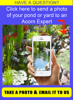 Request a pond cleaning or pond repair price quote in New York (NY) from Acorn Ponds & Waterfalls