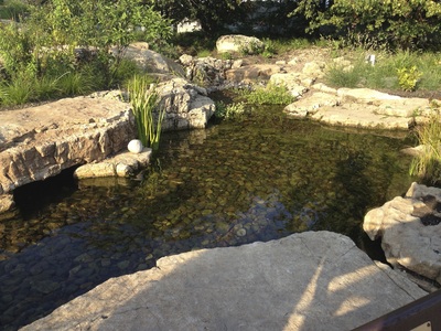 Koi pond repair by Acorn Ponds & Waterfalls of Rochester NY