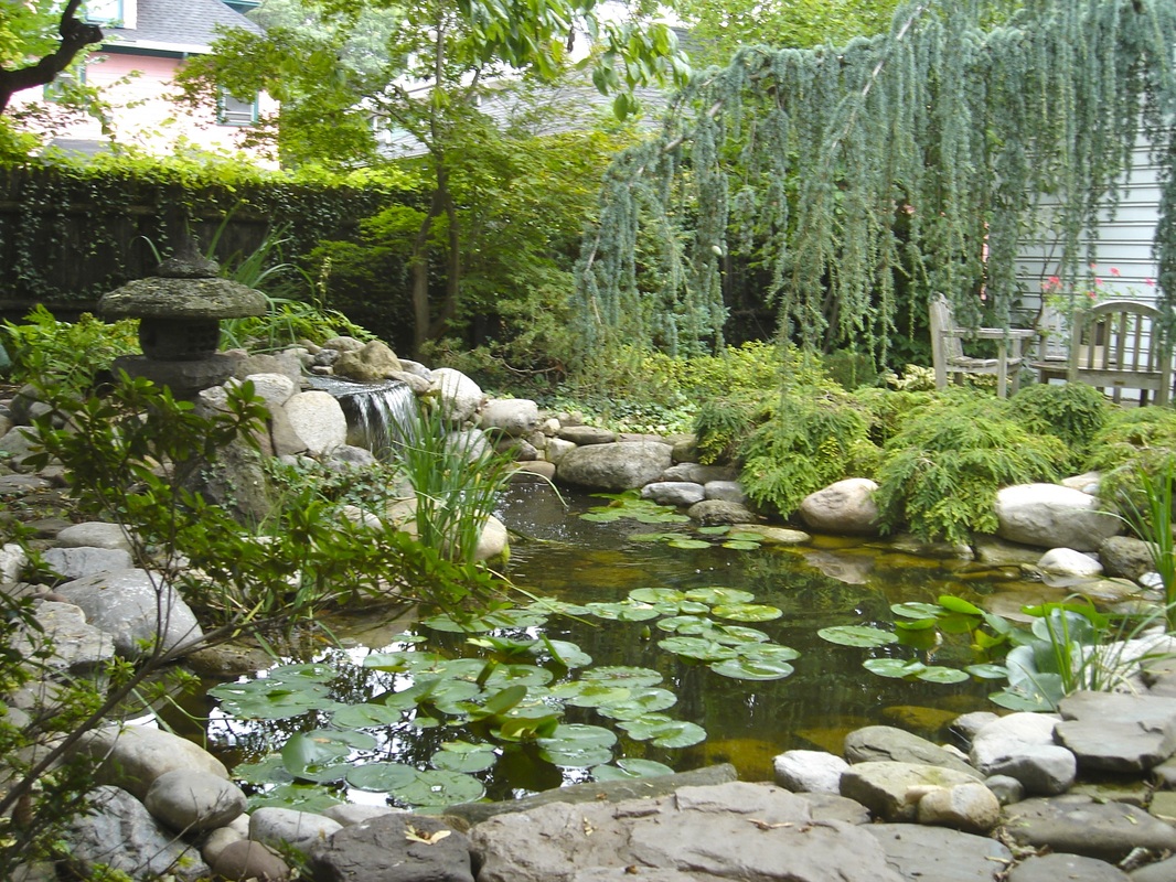 Pond Renovation & Reconstruction Services In Rochester New York (NY) - Acorn Ponds & Waterfalls.