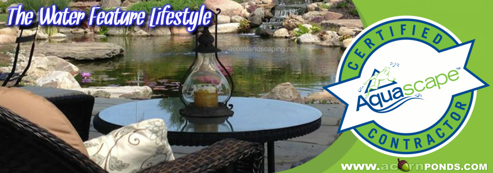 Henrietta, Irondequoit, Mendon, Greece, Chili (NY) Water Feature Lifestyle - Let’s get started on your backyard escape! Image