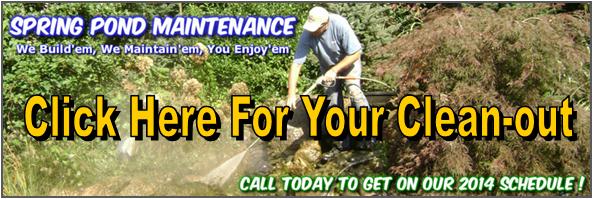 Sign up for Spring Pond Maintenance, Rochester, Monroe County NY With Acorn Ponds & Waterfalls. Image