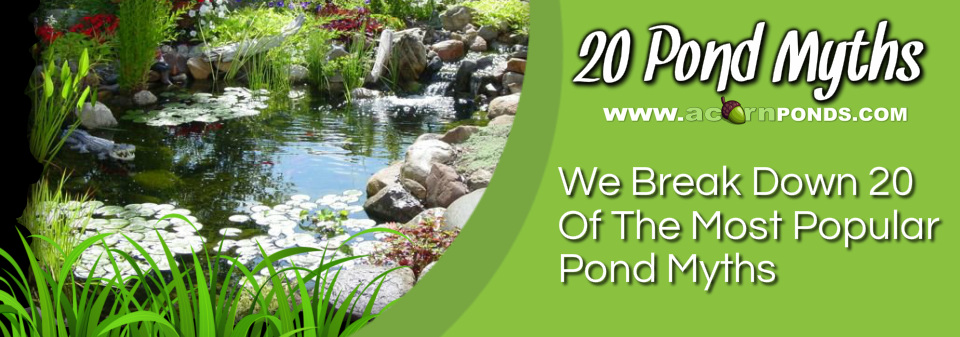 Pittsford, Penfield, Brighton, Fairport & Rochester (NY) Pond Myths - Learn the truth about koi ponds. Image