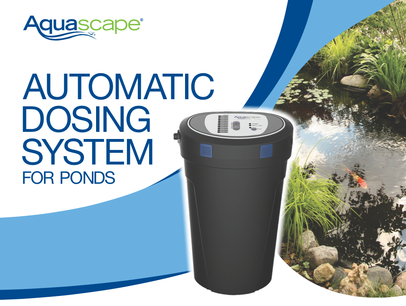 Enjoy your low maintenance koi pond with addition of an automatic beneficial bacteria dosing system in Rochester New Your (NY)