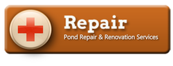 Acorn’s Pond & Water Garden Leak (Liner) Repair Services In Webster, Penfield Or Irondequoit (NY) New York