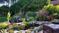 Escape to an area of paradise with a backyard koi pond gift certificate idea in Rochester New York (NY)