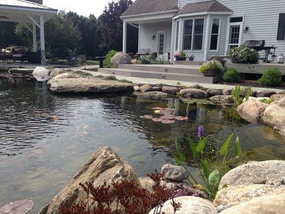 Koi Ponds & Backyard Landscaping Ideas By Acorn Ponds & Waterfalls In Rochester NY Near Me