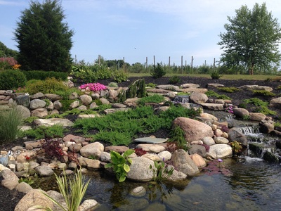 pond contractor services in Rochester NY by Acorn Ponds & Waterfalls