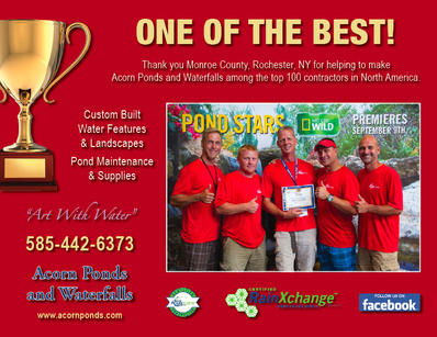 Top 100 Pond Contractor Award In Rochester NY - Acorn Ponds & Waterfalls
