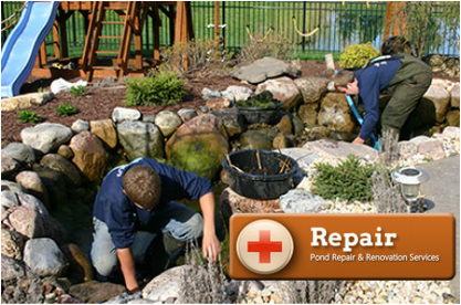 Have your fish pond serviced or repaired by certified pond contractors (Acorn) in Rochester New York (NY)
