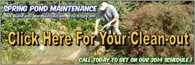Fish Pond Cleaning & Maintenance Services In Webster, Penfield & Irondequoit NY - Acorn Ponds & Waterfalls. Image