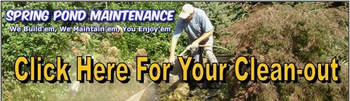 You Are Only One Phone Call Away From Getting Your Pond Cleaned In Rochester NY (New York)