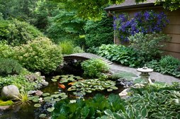 Bridges for koi fish ponds offer landscape ideas for Rochester New York (NY) homeowners - Acorn Ponds & Waterfalls