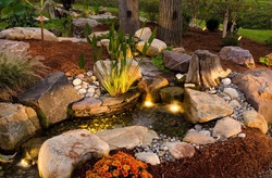Driftwood for natural looking streams, waterfalls & ponds in Rochester New York (NY) - Acorn Ponds & Waterfalls 585-442-6373