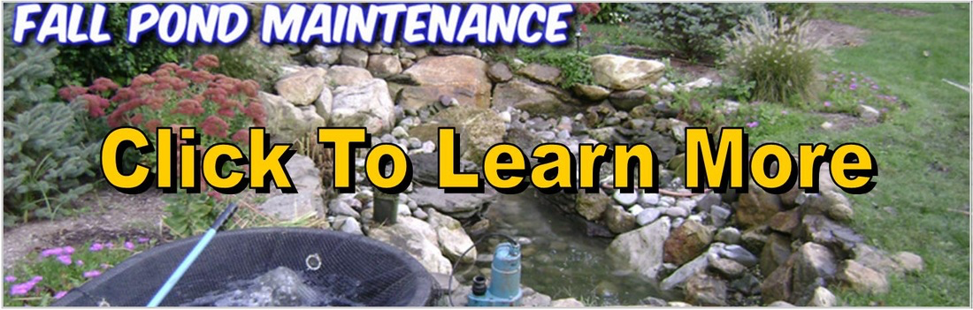 Fall Pond Maintenance, Winterization & Netting Services Rochester (NY) - ACORN