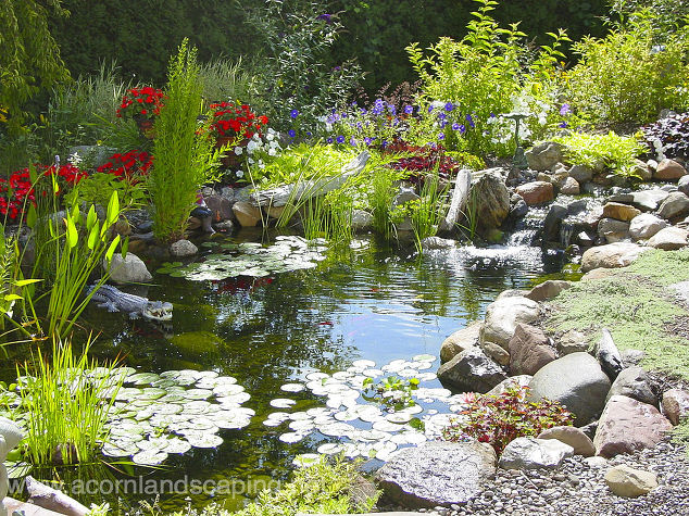 What is the best size to build koi ponds in Rochester NY?