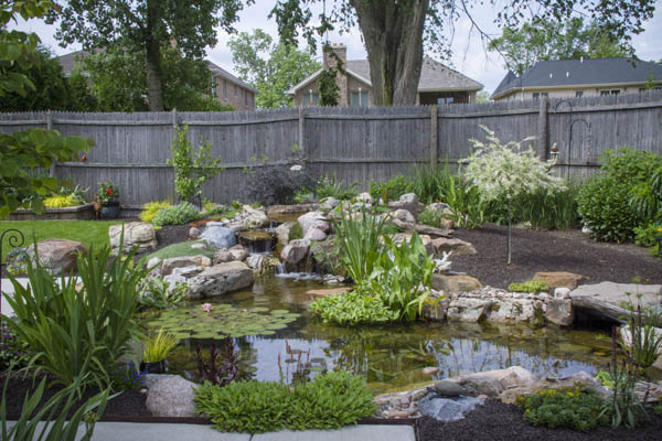 Backyard pond design ideas in Rochester NY or near me