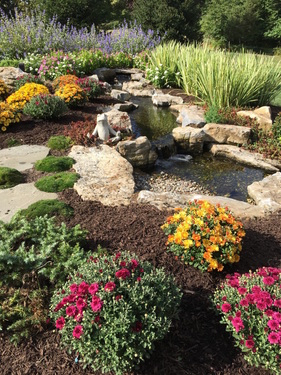 What should I do to my fish pond before winter in Rochester (NY) or near me?