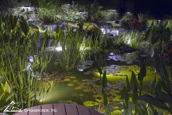 Pond & Garden Lighting Services In Rochester (NY) New York Near Me