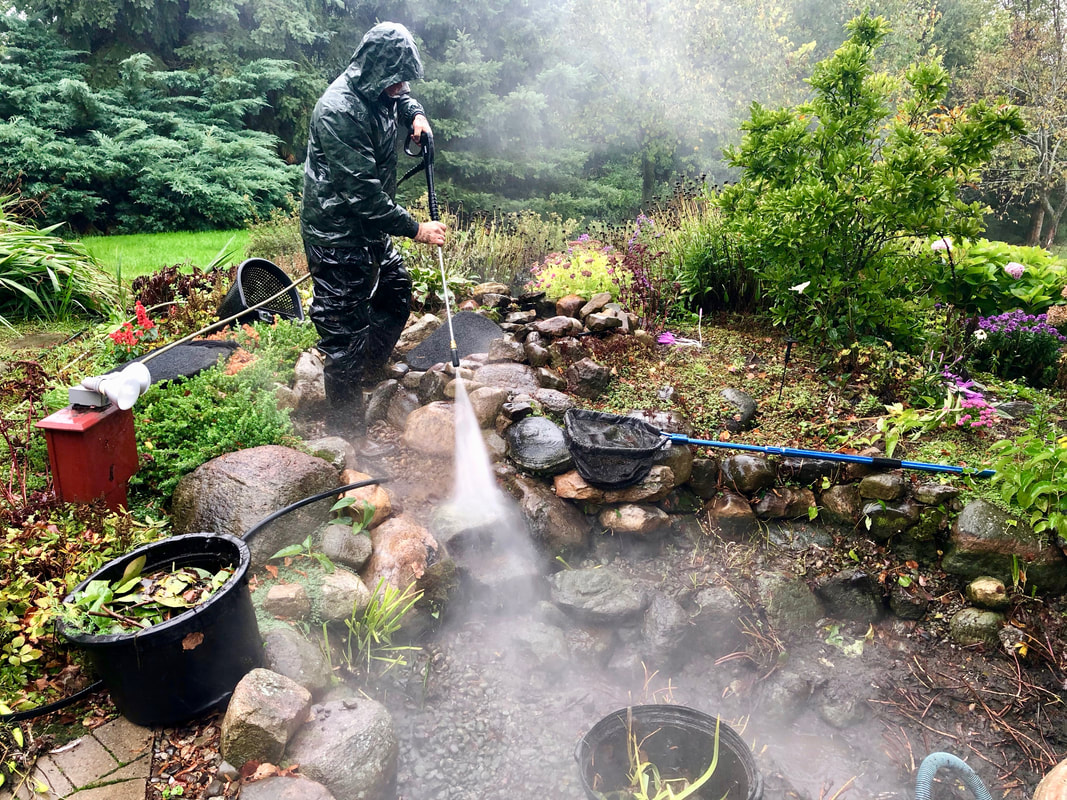 When Is The Best Time To Clean My Fish Pond In Rochester (NY)
