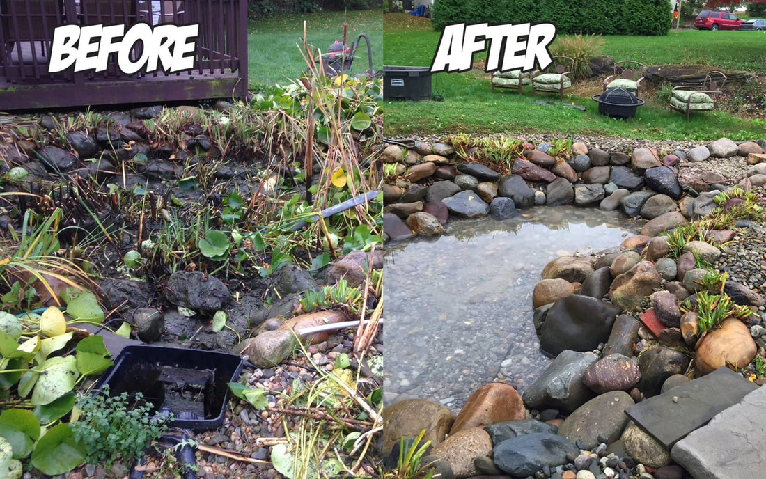 Fight Algae With Pond Maintenance by Acorn Ponds & Waterfalls of Rochester NY