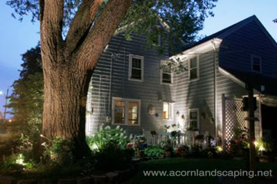 Landscape Lighting Installed in Rochester New York (NY) by Acorn Ponds & Waterfalls
