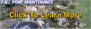 Fall Pond Maintenance Services Rochester, Monroe County NY