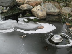 Winter pond maintenance & koi fish preparation in Rochester (NY) By Acorn