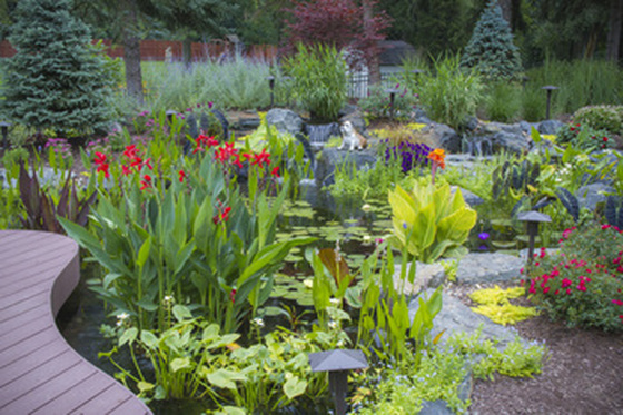 Hire Acorn To Install Your Perfect Dream Pond In Rochester New York (NY)