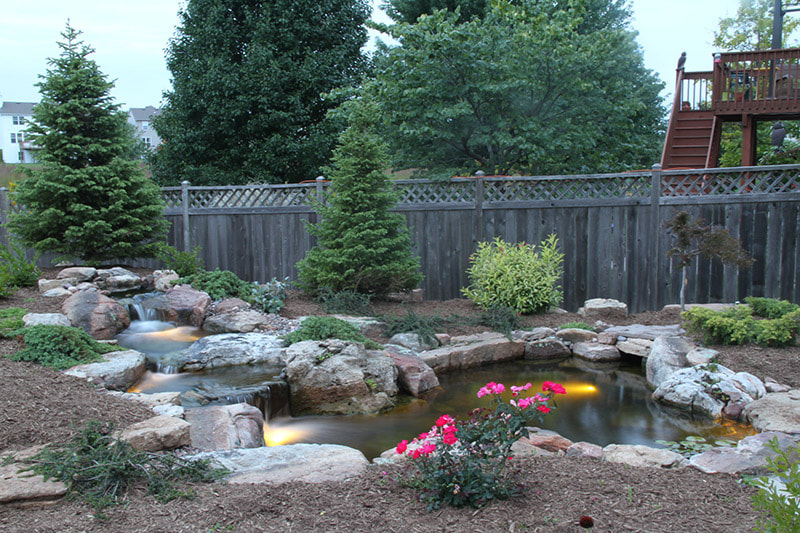 Fish Pond Ideas To Enjoy In Your Backyard In Rochester NY