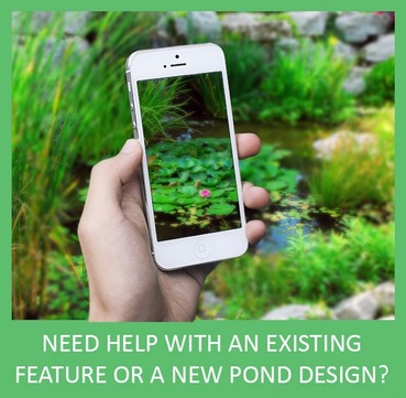 Looking for help with your koi pond leak or maintenance in Rochester NY? Acorn services