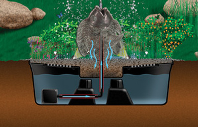  Aquascape Sustainable Fountain Basins in Rochester, Monroe County NY For Low Maintenance Designs. Image