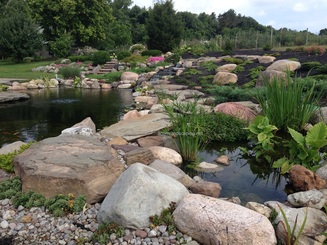  Natural Looking Wetland & Bog Filters In Rochester New York (NY) By Acorn Ponds & Waterfalls 