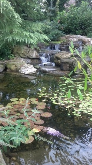 Ecosystem Ponds in Rochester, Monroe County NY By Acorn Ponds & Waterfalls. Ponds