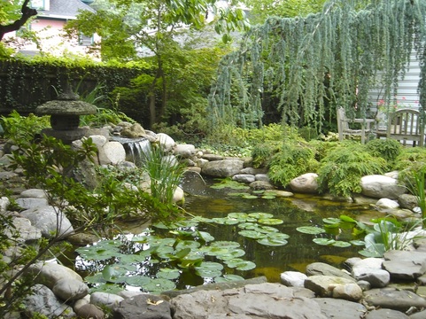 Waterfall Pond Maintenance Services In Greece, Chili & Gates NY - Acorn Ponds & Waterfalls