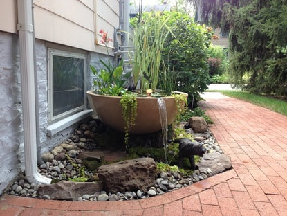 Create a beautifully planted water bowl with a variety of aquatic plants in Rochester NY