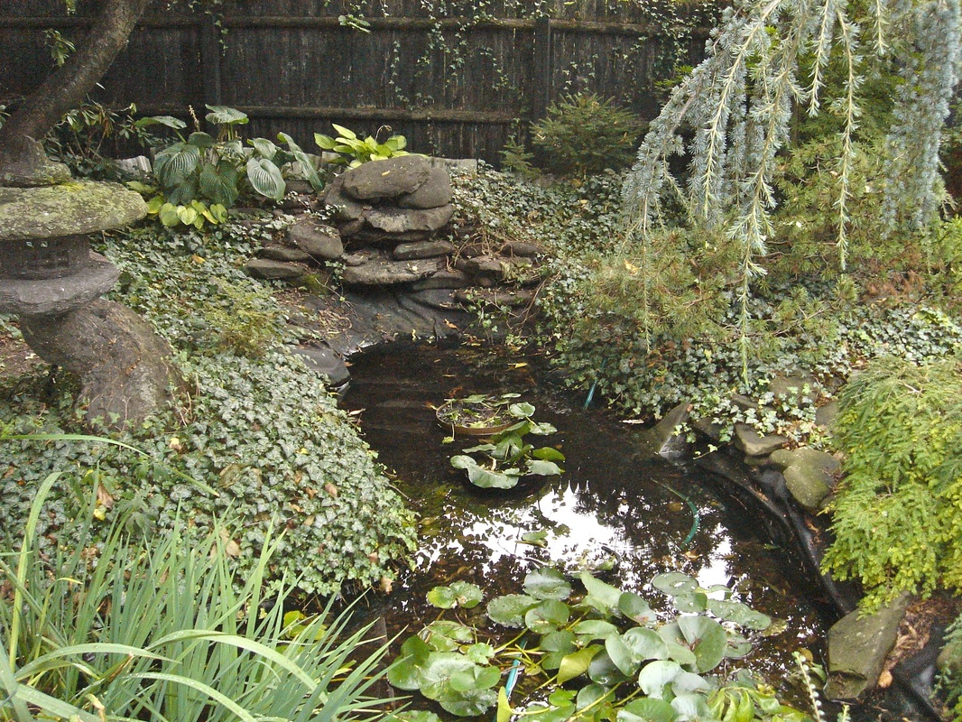 Hire a professional pond contractor to renovate or repair your koi pond in Rochester New York (NY) - Acorn Ponds & Waterfalls.