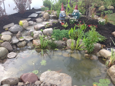 Watergardens & Backyard Landscaping Ideas By Acorn Ponds & Waterfalls In Rochester NY Near Me