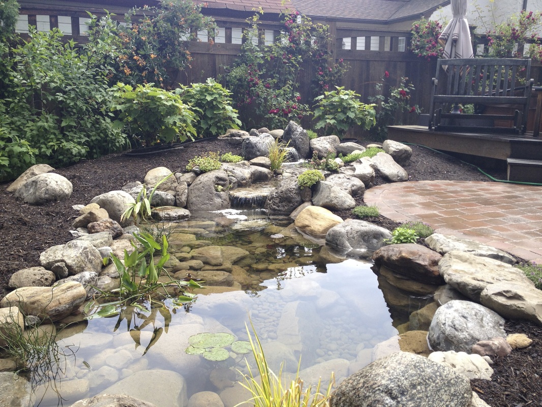 Ornamental goldfish pond & backyard paradise built in Rochester New York (NY) 