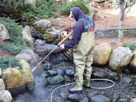 Spring Koi Pond Maintenance In Rochester, Pittsford, Penfield, Webster, Greece, Irondequoit (NY) 