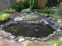 Fall pond closing & netting service in Rochester (NY) by certified pond contractors - Acorn