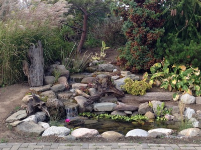 Fish Ponds & Backyard Landscaping Ideas By Acorn Ponds & Waterfalls In Rochester NY Near Me