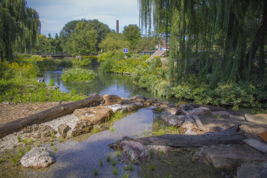 Wetland Filtration Systems For ecosystem Ponds In Zoos - Acorn Ponds & Waterfalls. Image