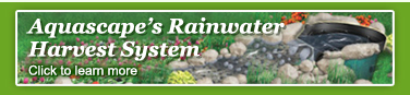 Saving rainwater in Monroe County NY