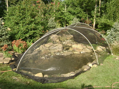 Fall Pond Maintenance Services In Victor, Canandaigua & Honeoye Falls, NY - Acorn Ponds & Waterfalls 