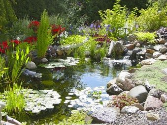 Hire A Certified Pond Contractor [ACORN] To Install Your Fish (KOI) Ponds In Rochester New York (NY)